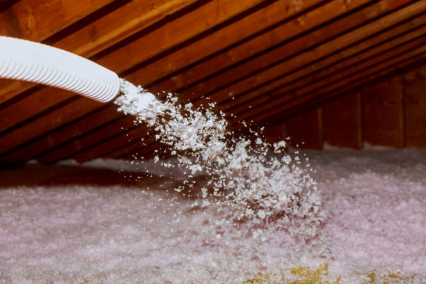 Best Cellulose Insulation  in Harrisburg, PA