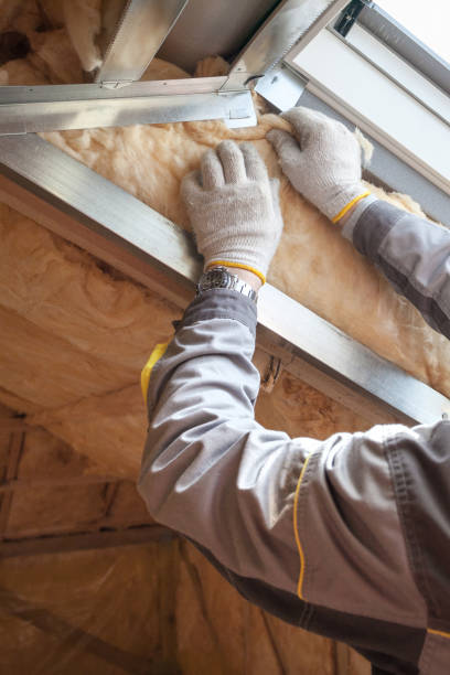 Best Attic Insulation Installation  in Harrisburg, PA